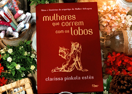 Mulheres que Correm com os Lobos